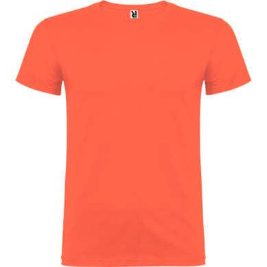 Camiseta Beagle
