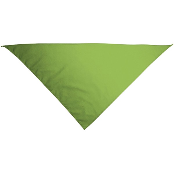 Pañuelo Triangular Gala