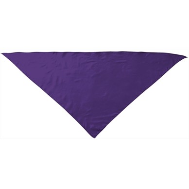 Pañuelo Triangular Fiesta