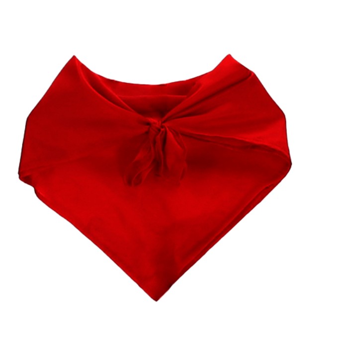 Pañuelo Cuadrado Fiesta